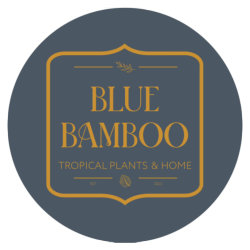 Blue Bamboo